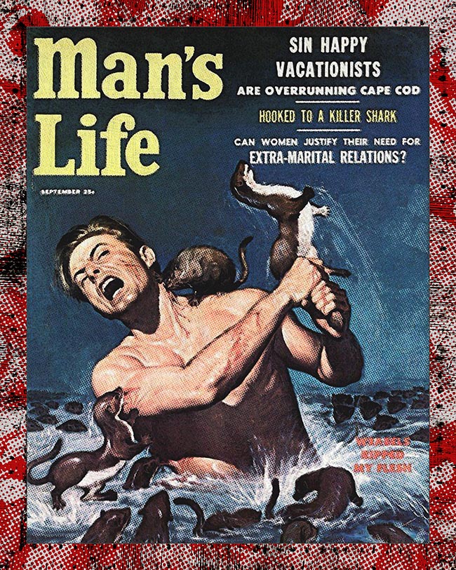 Cape Cod by Thomas Van Housen