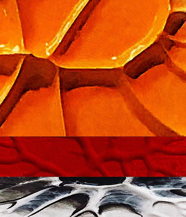 Contours by Thomas Van Housen