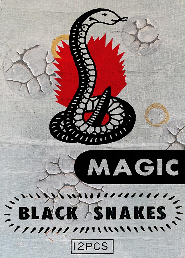 Magic Black Snakes by Thomas Van Housen