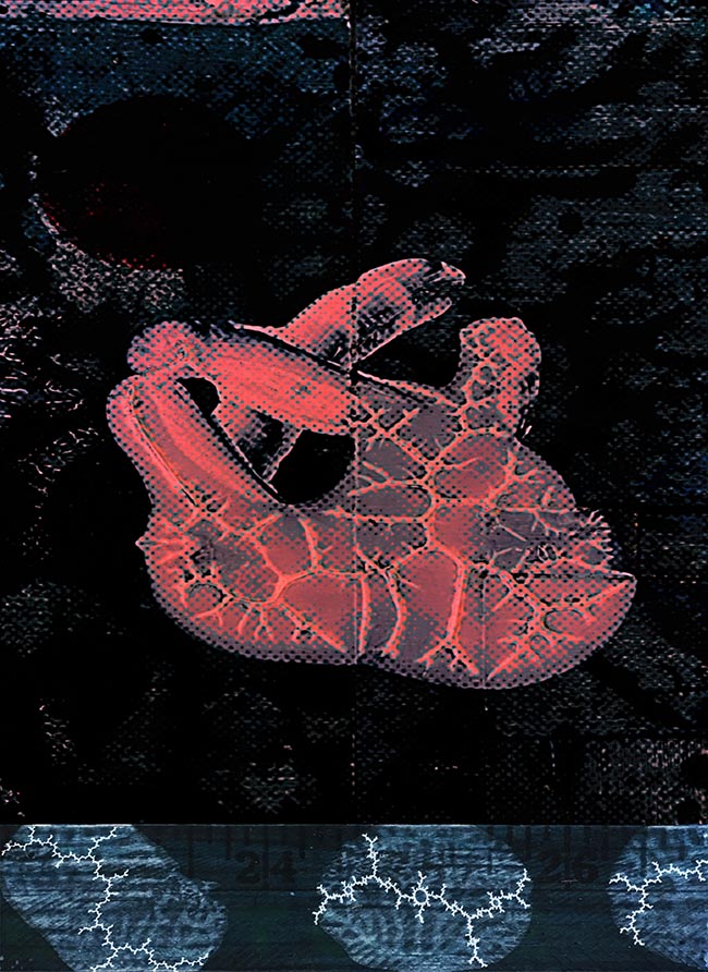 Rūpa by Thomas Van Housen